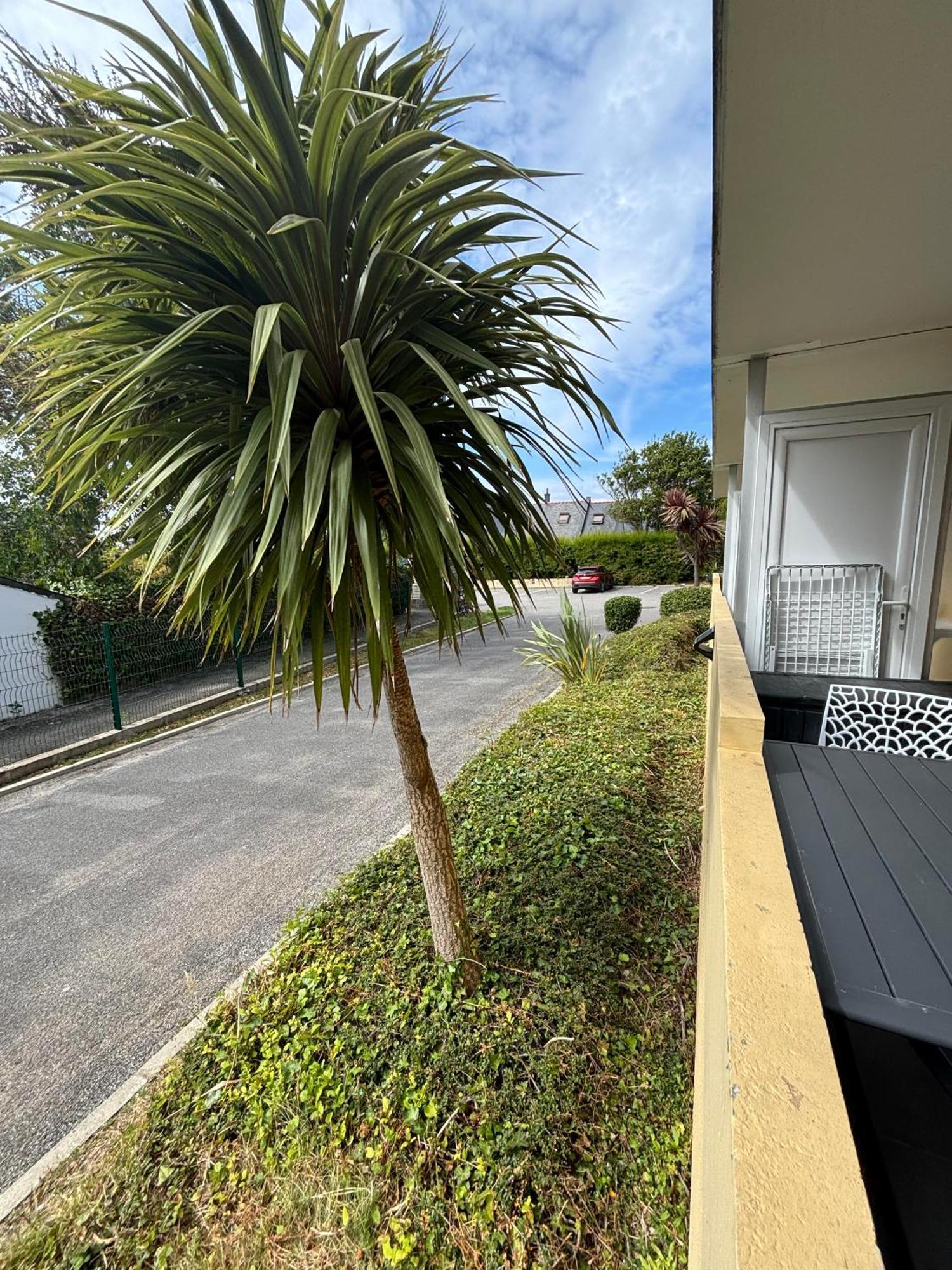 Appartement Studio 4 Personnes Dans Residence Avec Piscine キブロン エクステリア 写真